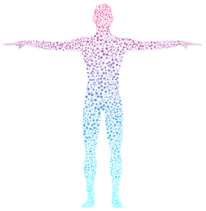 The Human Body: Social Emotional Learning